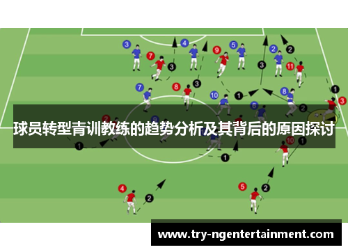 球员转型青训教练的趋势分析及其背后的原因探讨