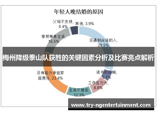 梅州降级泰山队获胜的关键因素分析及比赛亮点解析