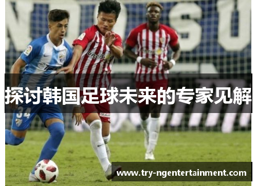 探讨韩国足球未来的专家见解