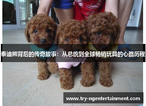 泰迪熊背后的传奇故事：从总统到全球畅销玩具的心路历程