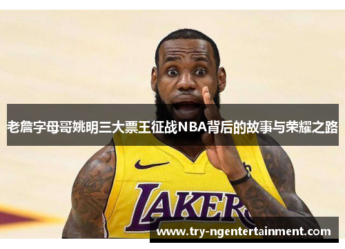 老詹字母哥姚明三大票王征战NBA背后的故事与荣耀之路