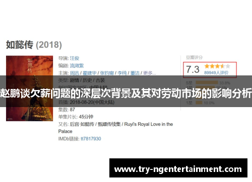 赵鹏谈欠薪问题的深层次背景及其对劳动市场的影响分析