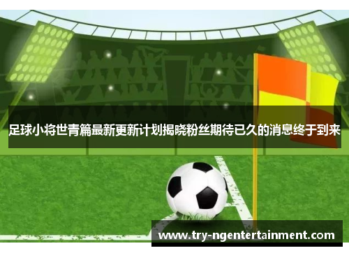 足球小将世青篇最新更新计划揭晓粉丝期待已久的消息终于到来