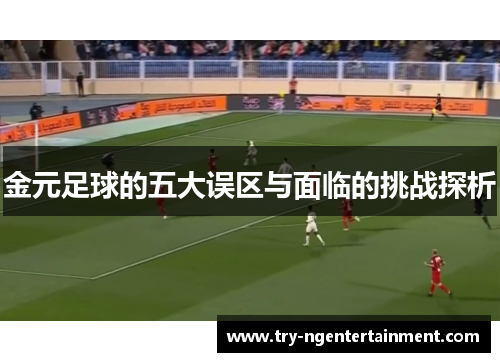 金元足球的五大误区与面临的挑战探析