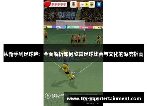 从新手到足球迷：全面解析如何欣赏足球比赛与文化的深度指南