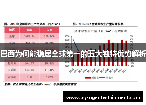 巴西为何能稳居全球第一的五大独特优势解析