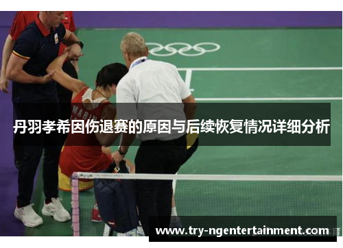丹羽孝希因伤退赛的原因与后续恢复情况详细分析