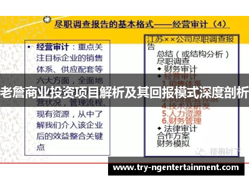 老詹商业投资项目解析及其回报模式深度剖析