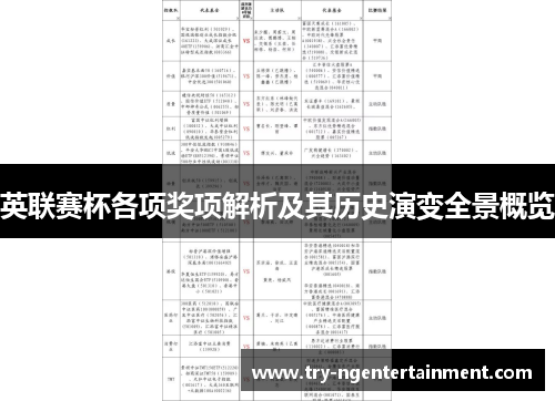 英联赛杯各项奖项解析及其历史演变全景概览