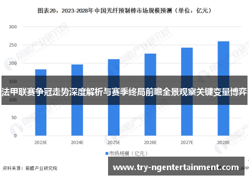 法甲联赛争冠走势深度解析与赛季终局前瞻全景观察关键变量博弈